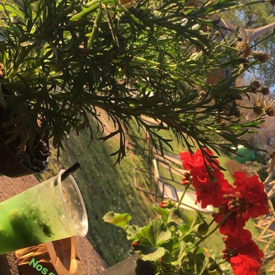 فيلا سان فيليسيانوفي Fattoria Il Poggio المظهر الخارجي الصورة